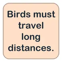 Picture for Birds must travel long distances. (Kuşlar uzun mesafeler seyahat etmelidir.)