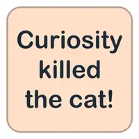 Picture for Curiosity killed the cat! (Merak kediyi öldürür!)
