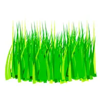 Picture for Grass (Çim, çimen)