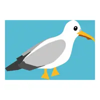 Picture for Seagull (Martı)