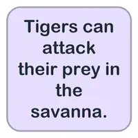 Picture for Tigers can attack their prey in the savanna. (Kaplanlar savanda avlarına saldırabilir.)