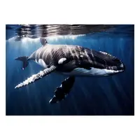Picture for Whale (Balina)
