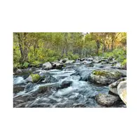 Flow (Akmak) görseli