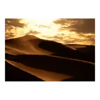 Sand dune (Kum tepesi) görseli