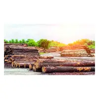Picture for Cut down trees (Ağaçları kesmek)