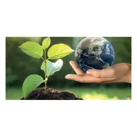 Picture for Plant trees (Ağaç dikmek)