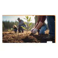 Picture for Plant (Dikmek, ekmek)