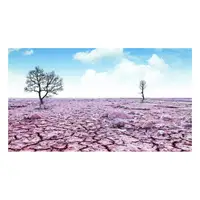 Drought (Kuraklık) görseli